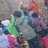 02 Aktion Februar 25 Tiere im Winterwald